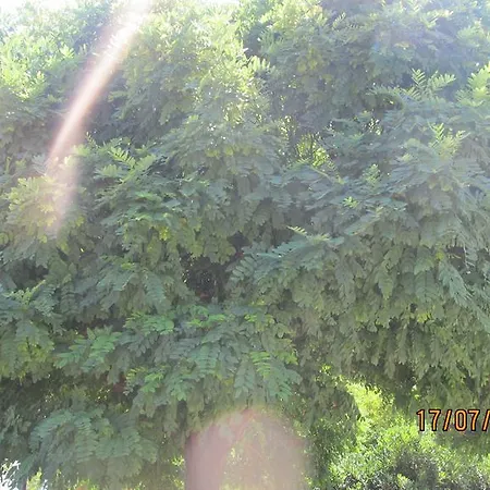 Bed & Breakfast Rose Garden Marinella di Selinunte