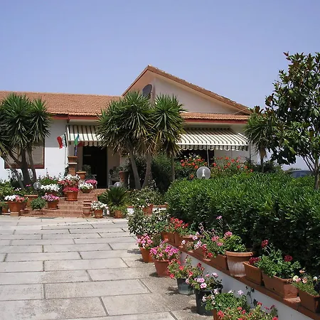 Rose Garden